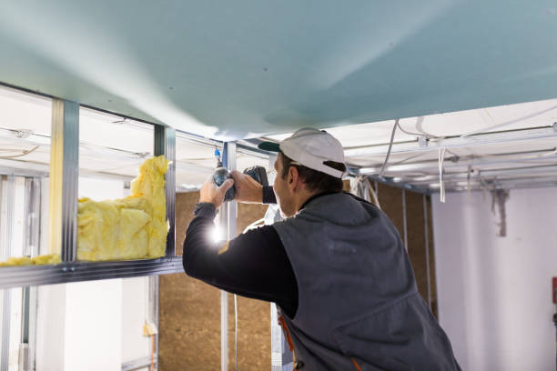 Best Insulation Removal  in Simmesport, LA